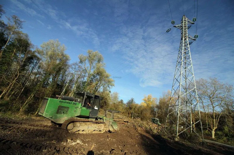 Élagage d'arbres à proximité de lignes à haute tension