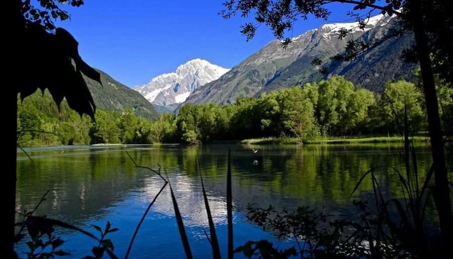 Vue sur le Massif du Mont-Blanc et ses glaciers