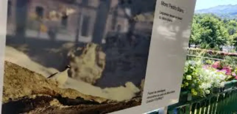 Exposition photographique en plein air sur les quais