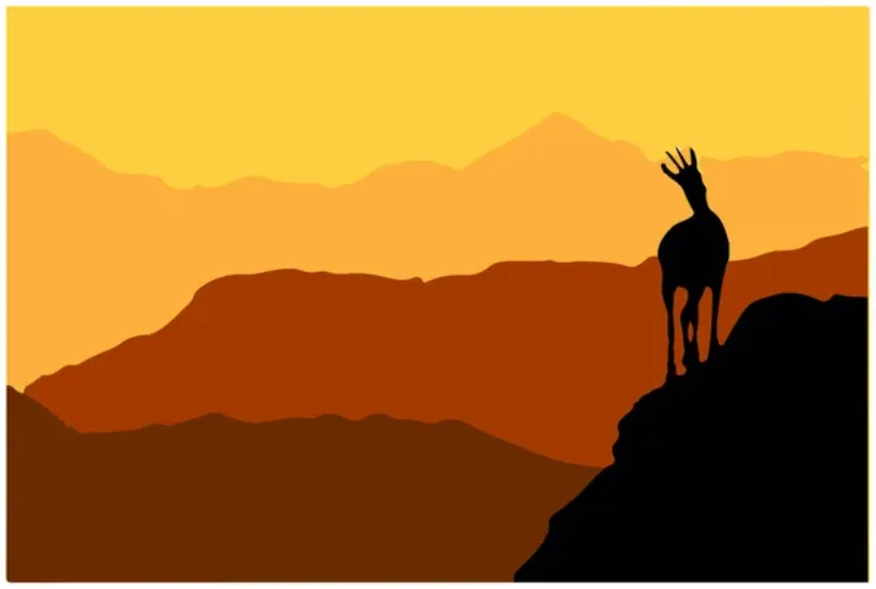 Affiche du Festival du Film Nature avec une silhouette de chamois sur fond de montagne