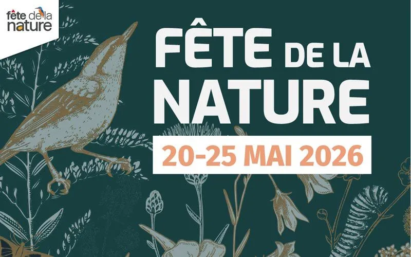 Observation de la faune et de la flore lors d'une sortie nature