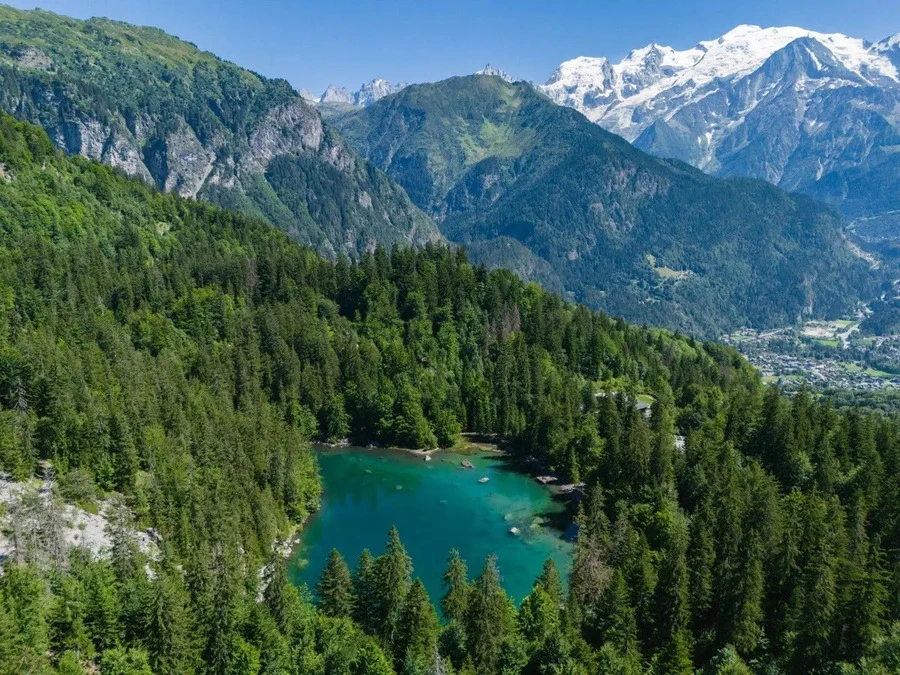 Bénévoles ramassant des déchets dans la nature