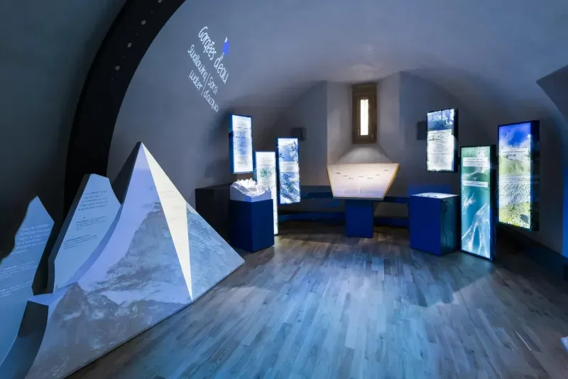 Un scarabée sur une écorce d'arbre